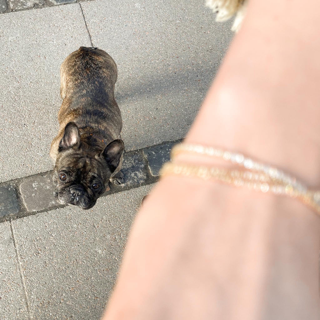 Aligned, TENNIS 1,89 tcw/2mm-16cm, Gold/White