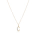 LETTERS, C Diamond Pendant 0,10ct, Gold/Diamonds