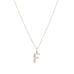 LETTERS, F Diamond Pendant 0,10ct, Gold/Diamonds