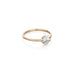 ROME, Colosseo Oval 0,70 tcw, Gold/White