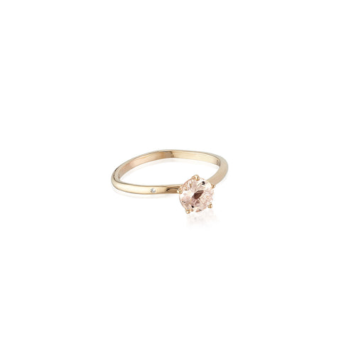 DAWN, Light Ring